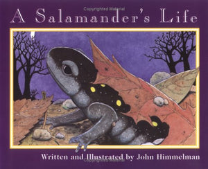 A Salamander's Life (Nature Upclose),Used