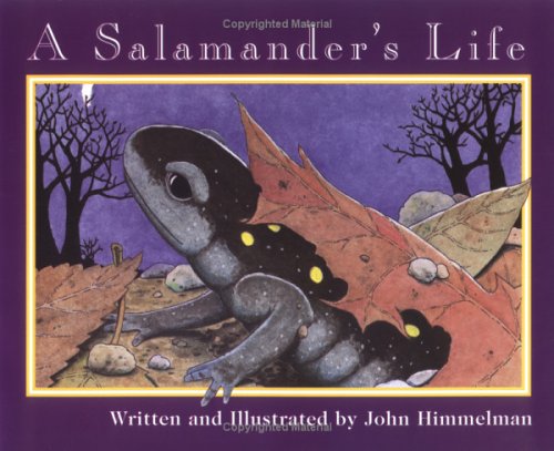 A Salamander's Life (Nature Upclose),Used