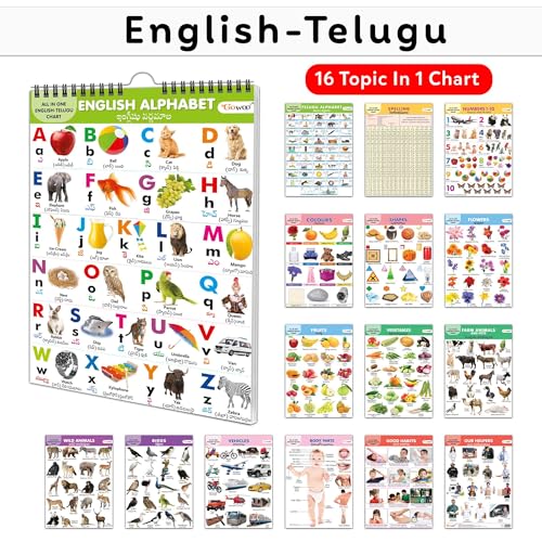 My First All In One Spiral Chart English-Telugu : Chart Book Of All In One, Early Childhood Learning Chart With 16 Topics, Birthday Gifts For Children Best Friend
