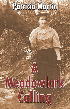 A Meadowlark Calling,Used