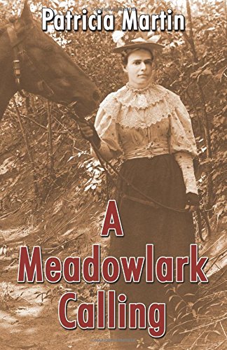 A Meadowlark Calling,Used