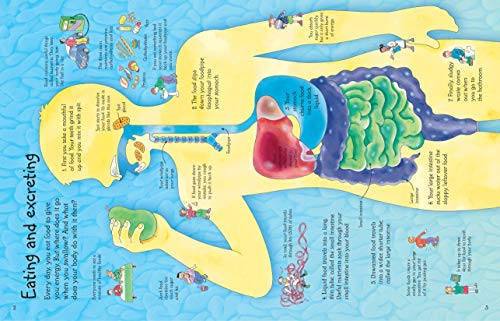 See Inside Your Body (International Edition),New