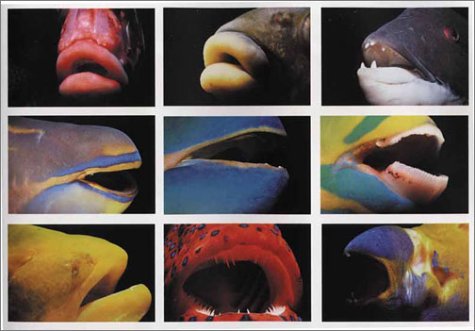 Eyes Into Secret Seas,Used