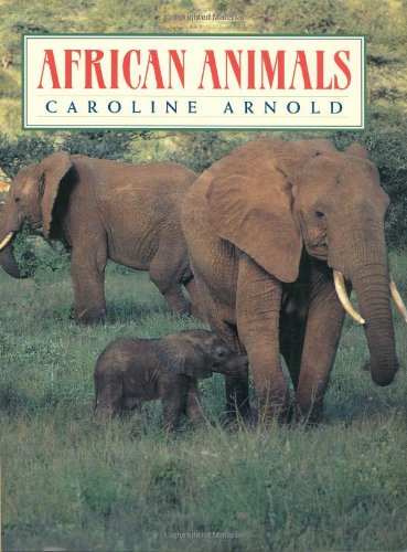 African Animals,Used