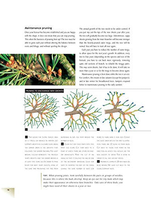 The Bonsai Handbook (IMM Lifestyle Books) The Science and Art of Bonsai from Anatomy to Aesthetics, and How to Grow Your Own, in,New