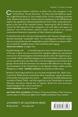 Special Sorrows: The Diasporic Imagination of Irish, Polish, and Jewish Immigrants in the United States,Used