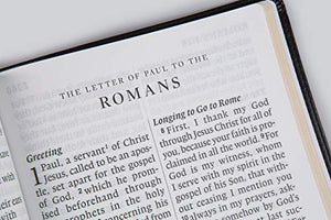 ESV Super Giant Print(Font Size  17pt) Bible (TruTone, Black),Used