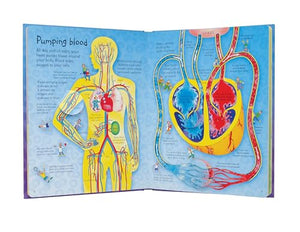 See Inside Your Body (International Edition),New