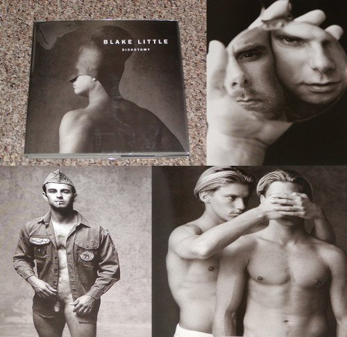 Blake Little  Dichotomy,Used