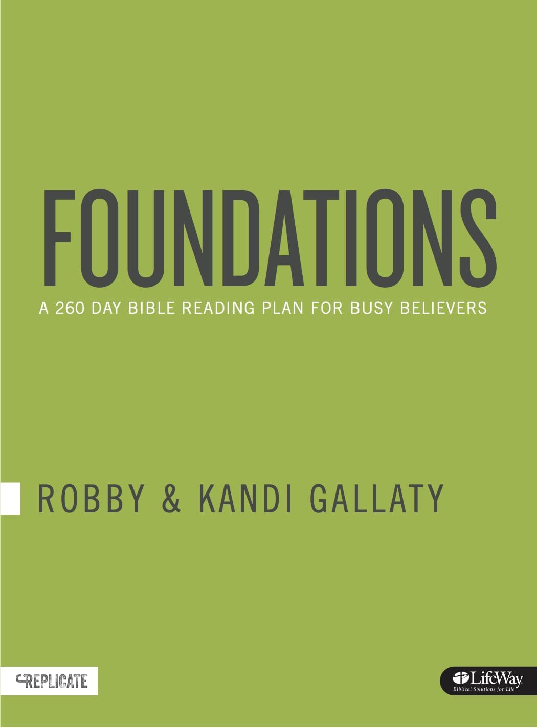 Foundations: A 260Day Bible Reading Plan for Busy Believers (Journal) by Robby Gallaty (20151101),Used