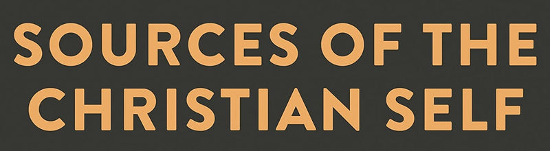 Sources of the Christian Self: A Cultural History of Christian Identity,Used