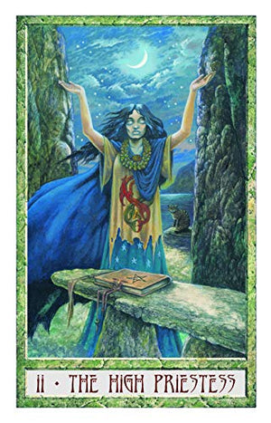 The Druid Plant Oracle: Working with the Magical Flora of the Druid Tradition (36 Cards and 144 Page Guidebook),Used
