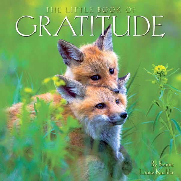 The Little Book of Gratitude (A ThankYou gift book),Used