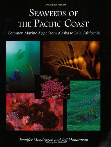 Seaweeds Of The Pacific Coast: Common Marine Algae From Alaska To Baja California-used