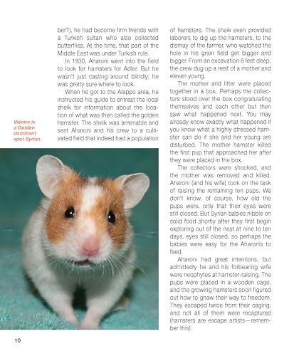 The Hamster Handbook (B.E.S. Pet Handbooks),Used