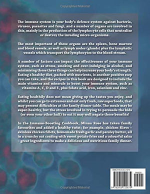 Integrated Chinese 4th Edition, Volume 1 Character Workbook (Simplified and Traditional Chinese) (English and Chinese Edition),Used