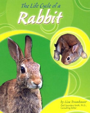 The Life Cycle of a Rabbit (Life Cycles),Used