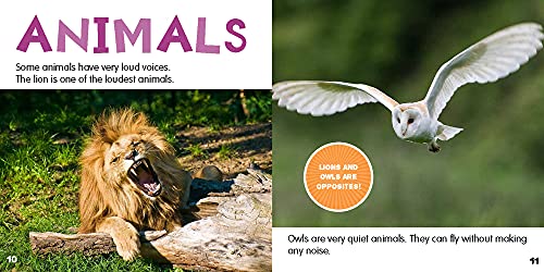 Loud and Quiet (Opposites),Used