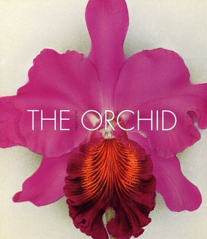 The Orchid: From the Archives of the Royal Horticultural Society,Used