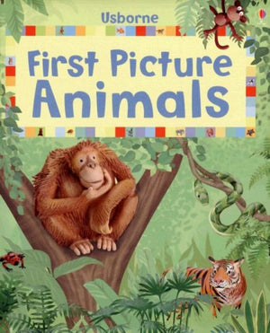 First Picture Animals (First Picture Board Books),Used