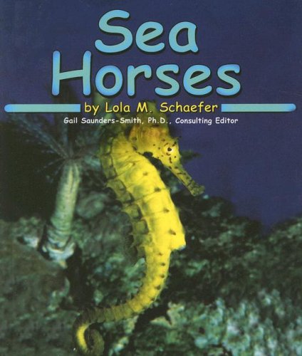 Sea Horses,Used