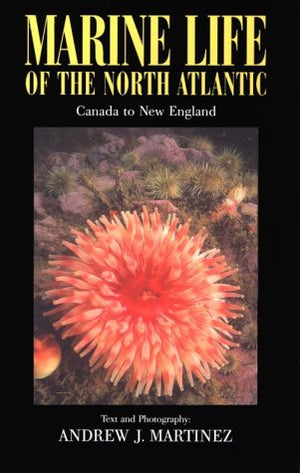 Marine Life of the North Atlantic : Canada to New England 2n Ed.,New