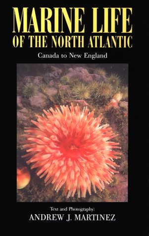 Marine Life of the North Atlantic : Canada to New England 2n Ed.,New