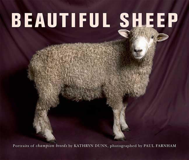 Beautiful Sheep: Portraits of Champion Breeds,Used