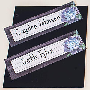 Schoolgirl Style Simply Stylish Succulent Nameplates, 9.5' x 2.875', Pack of 36,Used
