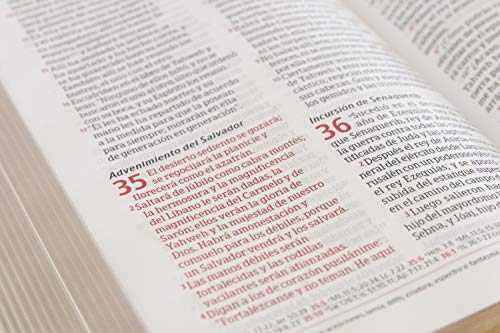 Biblia Peshitta. Tapa dura / Peshitta Bible. Hardcover (Spanish Edition),Used