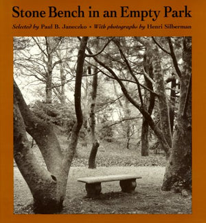 Stone Bench In An Empty Park,New