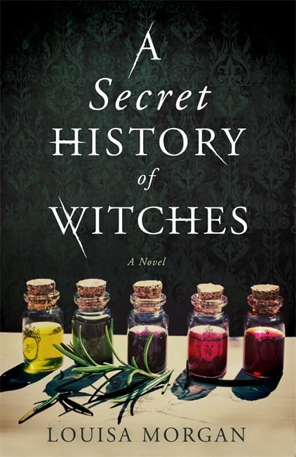 A Secret History of Witches: A Novel,Used