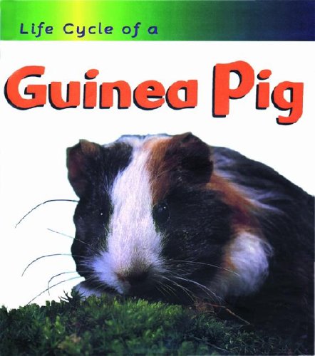 Guinea Pig (Life Cycle of A),Used
