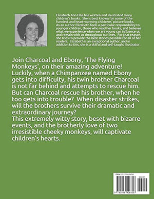 The Flying Monkeys,Used