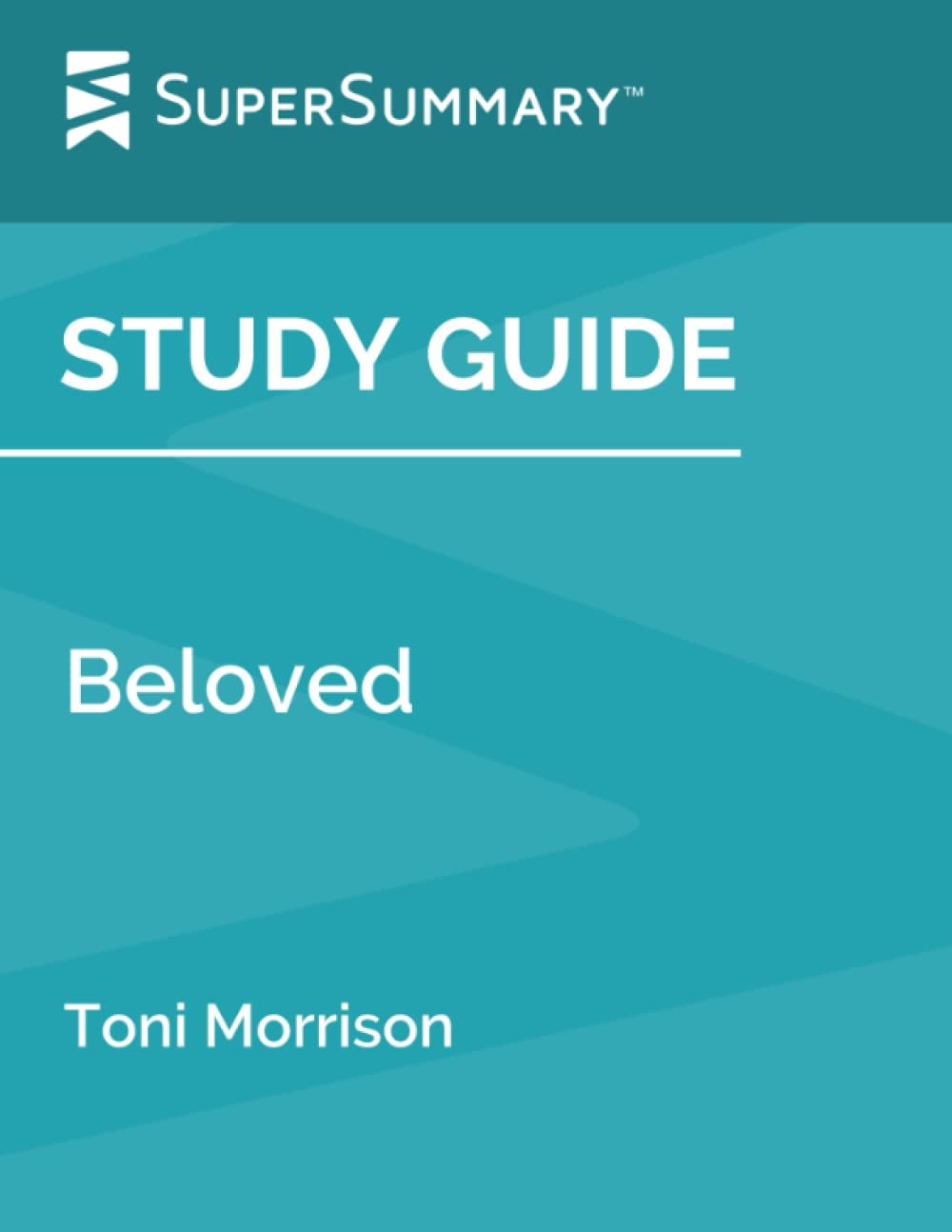 Study Guide: Beloved by Toni Morrison (SuperSummary),Used