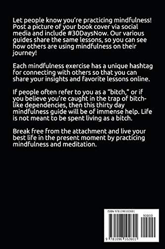 30 Days to Stop Being a Bitch: A Mindfulness Program with a Touch of Humor,Used