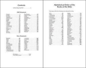 NIrV, Backpack Bible, Leathersoft, Red/White,Used