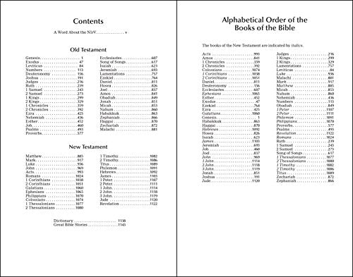 NIrV, Backpack Bible, Leathersoft, Red/White,Used