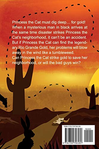 Princess the Cat Strikes Gold: A Pet Adventure Treasure Hunt,Used