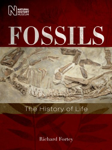 Fossils: The History of Life,Used