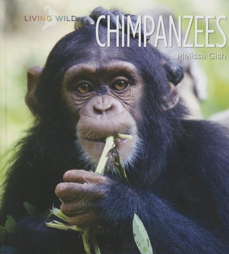 Chimpanzees (Living Wild),Used