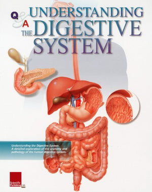 Understanding The Digestive System Flip Chart