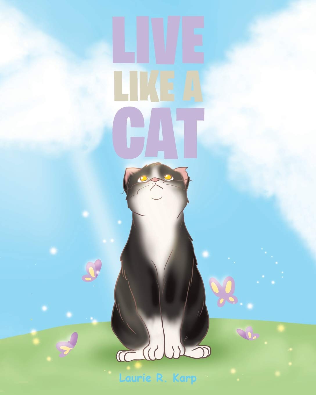 Live like a Cat,Used