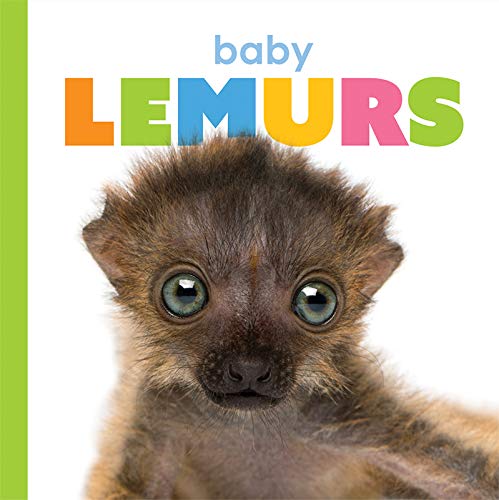 Baby Lemurs (Starting Out)