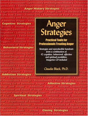 Anger Strategies: Practical Tools For Professionals Treating Anger,New