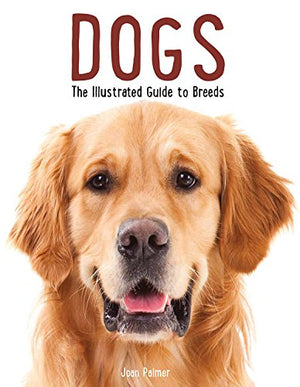 Dogs: The Illustrated Guide To Breeds