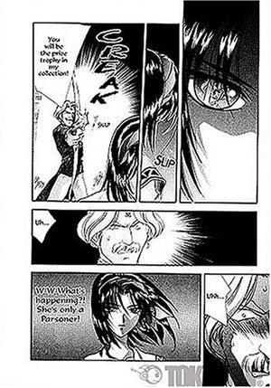 Sorcerer Hunters, Vol. 12,Used