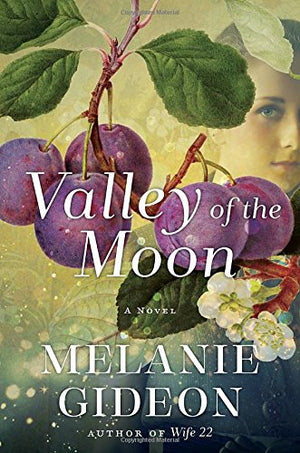 Valley of the Moon: A Novel,Used