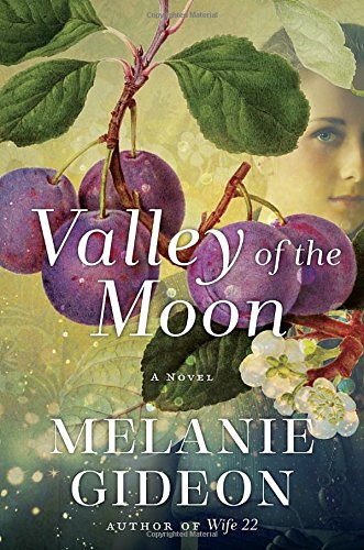 Valley of the Moon: A Novel,Used