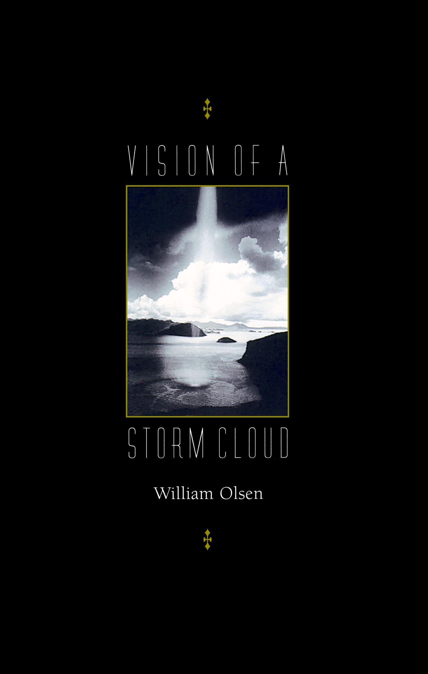 Vision Of A Storm Cloud,Used